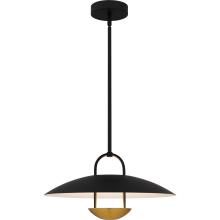  QUOIZEL BIN2818MBK - Bingham Pendant