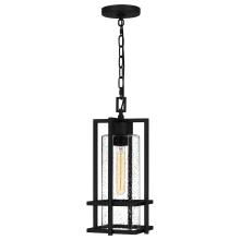  QUOIZEL DMN1507EK - Damien Mini Pendant