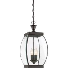  QUOIZEL OAS1909Z - Oasis Outdoor Lantern